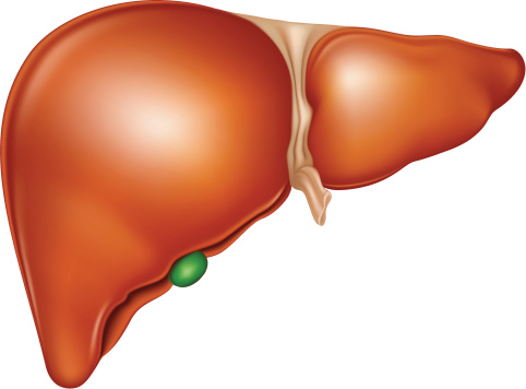 proteina c reattiva tumore al fegato